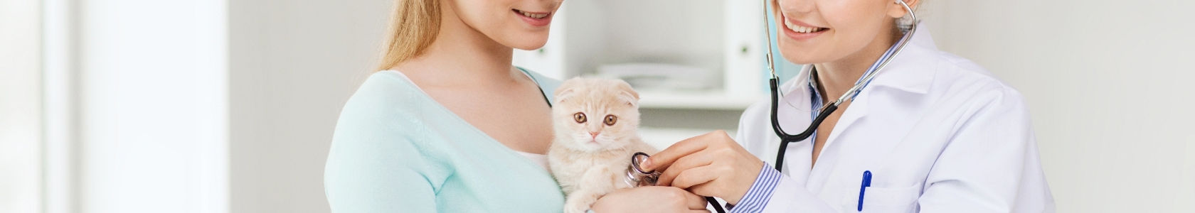 Veterinarian with client and cat