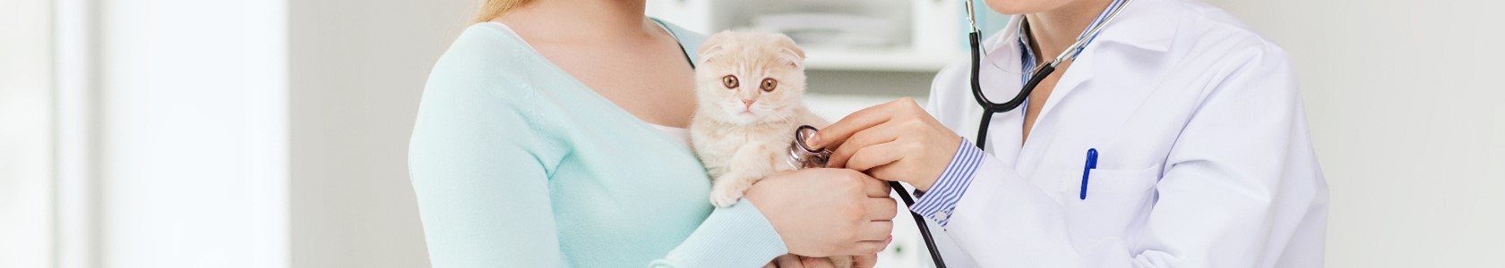 Veterinarian with client and cat