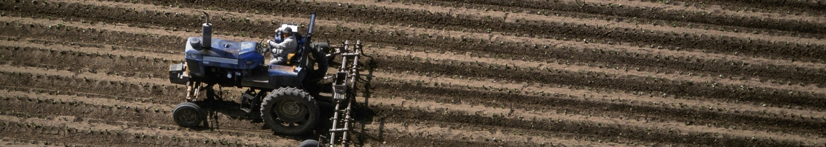 Tractor plowing field