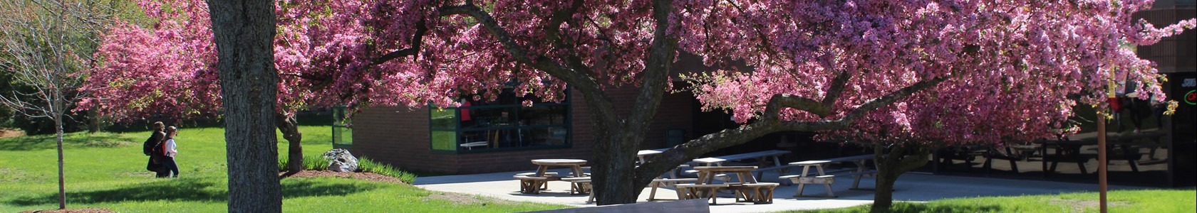 MCC's Sidney campus picnic area