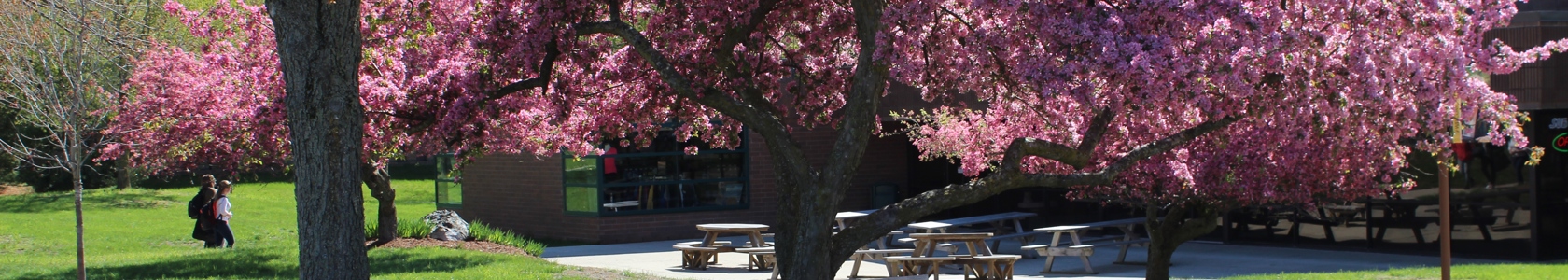 MCC's Sidney campus picnic area