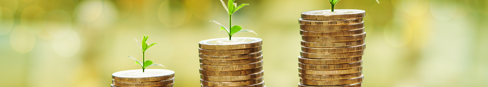 Stacks of coins with seedlings as picture of growth in savings