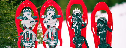 Snowshoes in snow