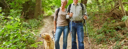 Elderly couple hiking in woods with yellow dog.