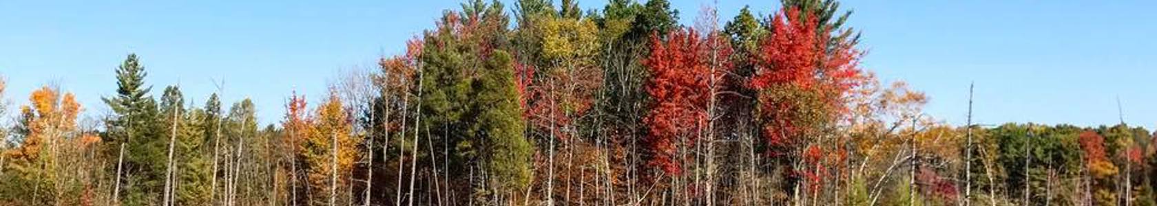 MCC Nature Trails laake view in fall 2018