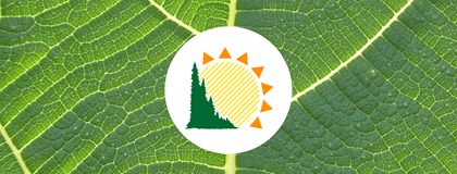 Summer camp logo on leaf