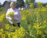 MCCF Scholarship creator, Sue Ann Aargaard standing outside near yellow flowers on the Sidney campus.