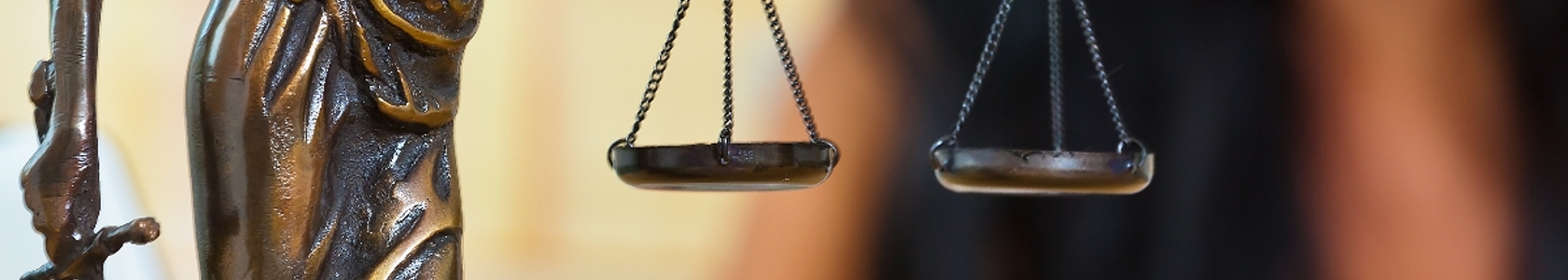 Law/education photo