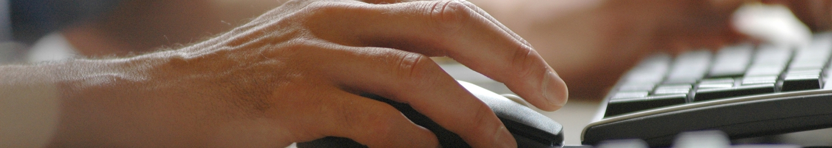 Photo of people using Keyboards and mouses