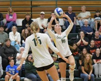 MCC Volleyball player setting the ball on the court.